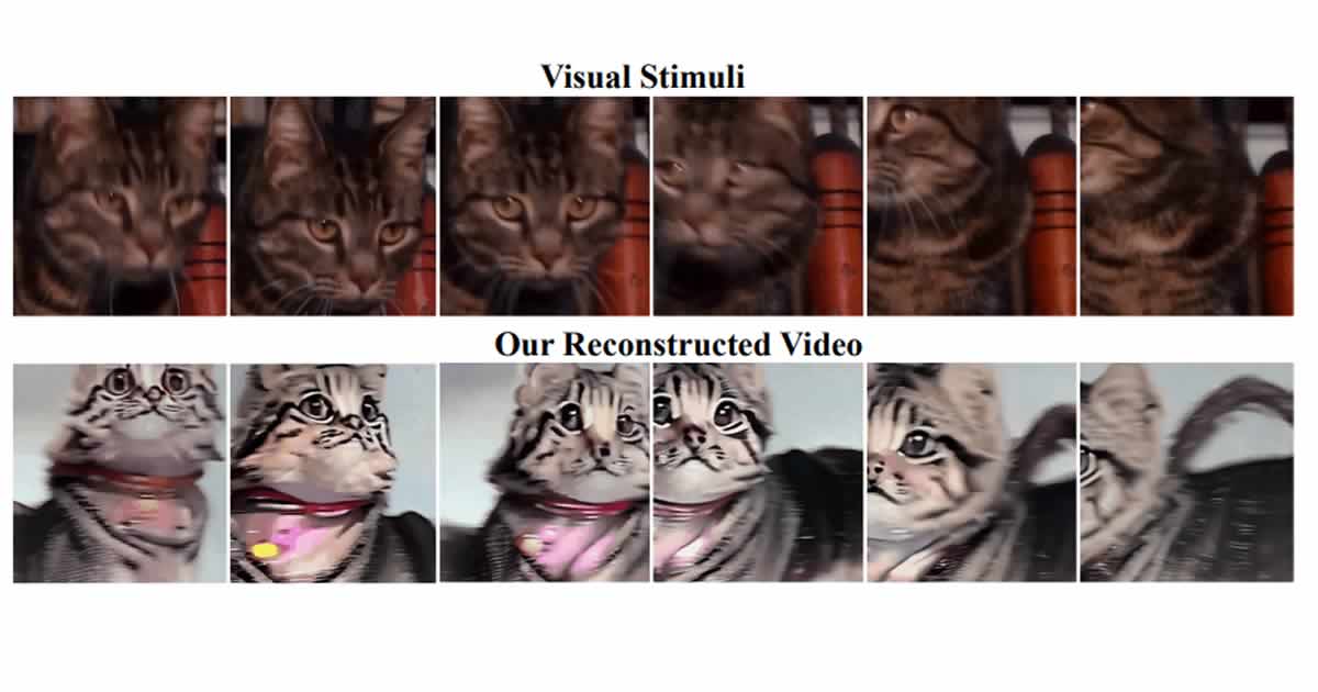 Decoding The Mind: AI Successfully Reconstructs High-Quality Videos ...